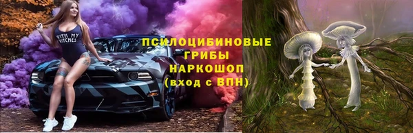 шишки Горнозаводск